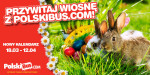 Nowa linia PolskiBusGold oraz wiosenny kalendarz połączeń PolskiBus i PolskiBusGold
